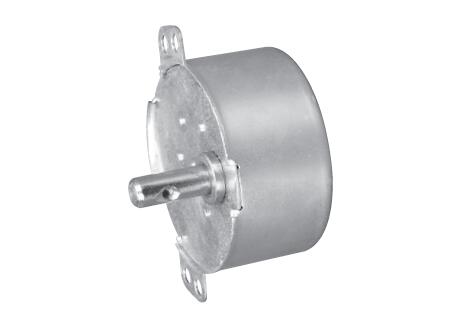 D49mm-AC Synchronous Gear Motor-49TYJ